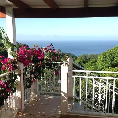 Villa Des Iles Basse-Terre Luaran gambar