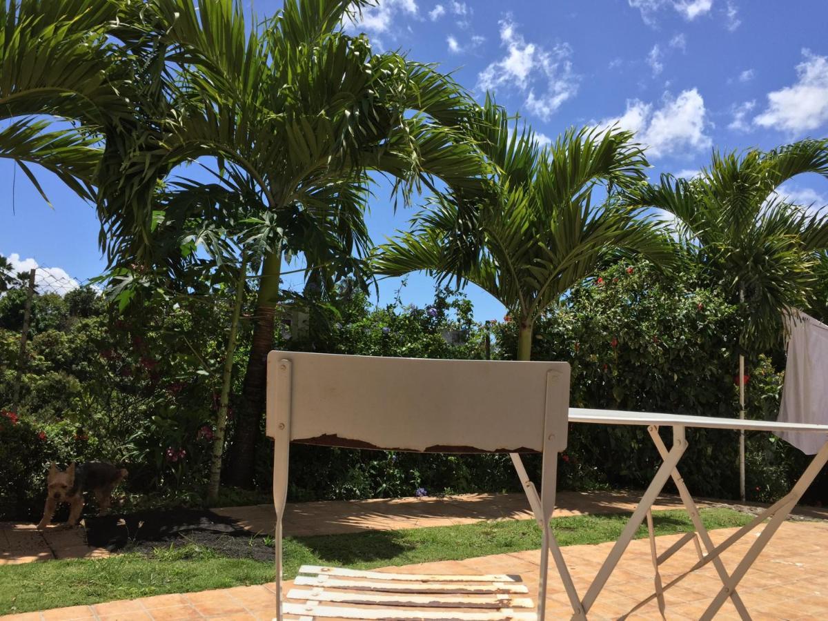 Villa Des Iles Basse-Terre Luaran gambar
