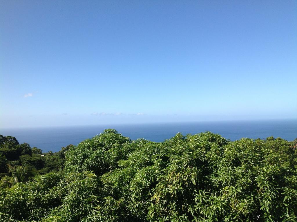 Villa Des Iles Basse-Terre Luaran gambar