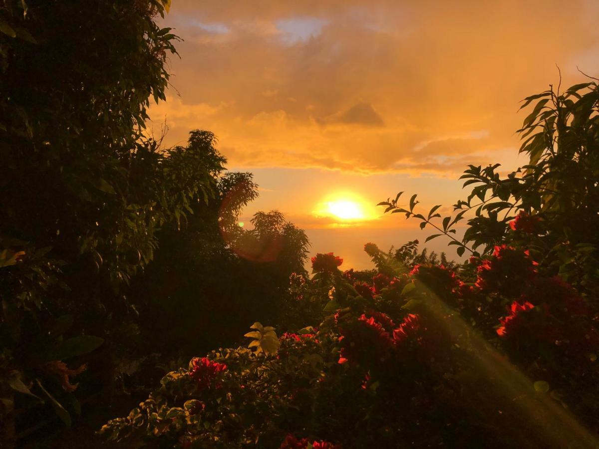 Villa Des Iles Basse-Terre Luaran gambar
